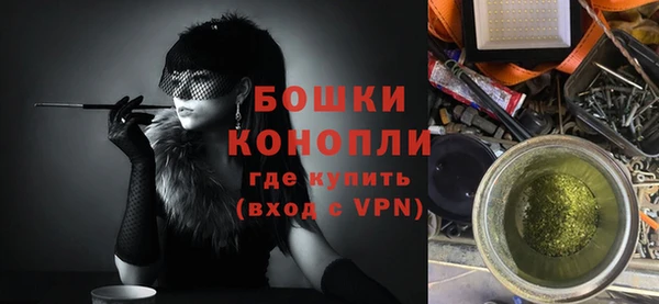шишки Верея