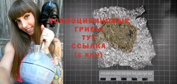 сатива Верхний Тагил