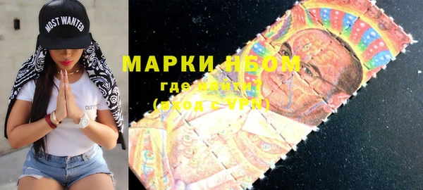 шишки Верея