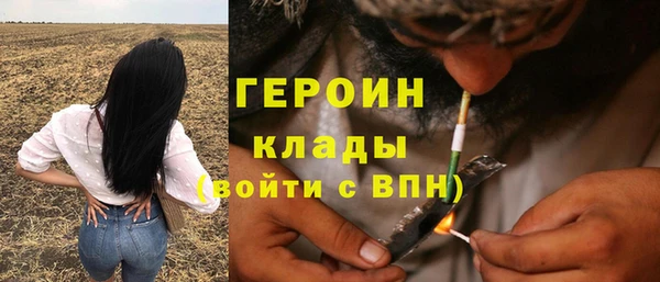 шишки Верея